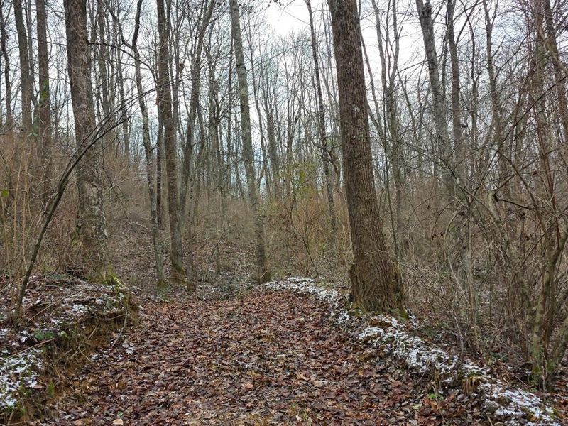 7857 Scenic Rd SE, Unit (Lot 11 at, Corning, OH 43730 Photo 24