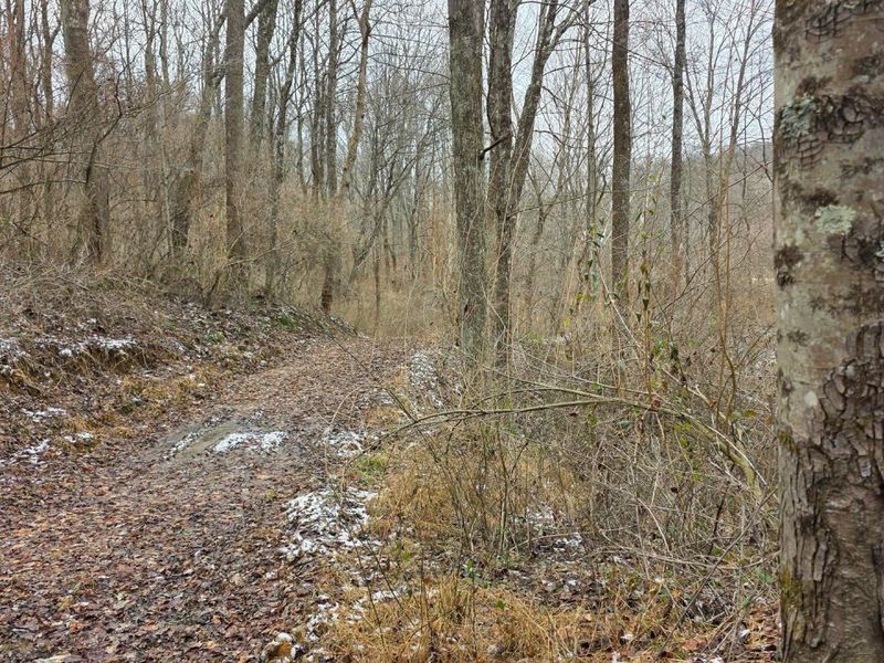 7857 Scenic Rd SE, Unit (Lot 11 at, Corning, OH 43730 Photo 25