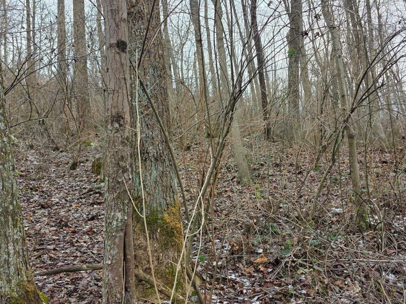 7857 Scenic Rd SE, Unit (Lot 11 at, Corning, OH 43730 Photo 26