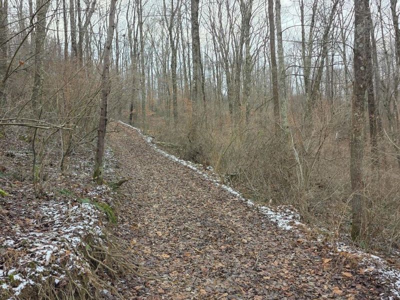 7857 Scenic Rd SE, Unit (Lot 11 at, Corning, OH 43730 Photo 27