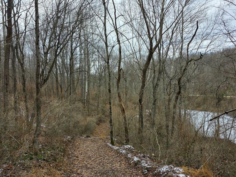 7857 Scenic Rd SE, Unit (Lot 11 at, Corning, OH 43730 Photo 28