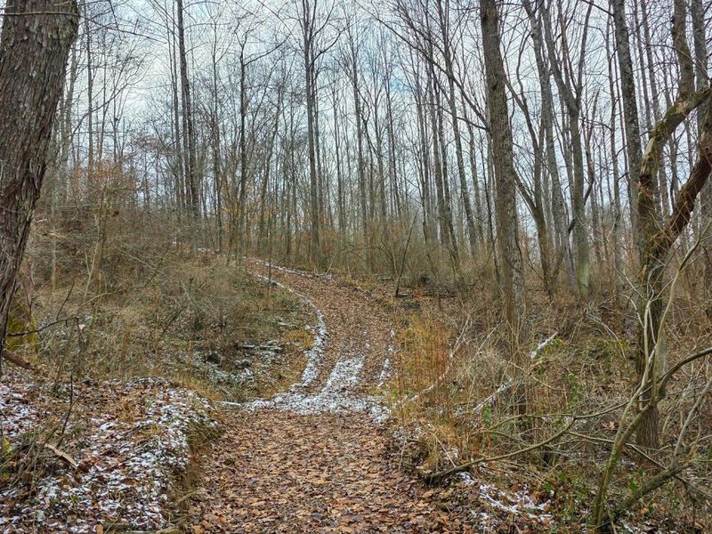 7857 Scenic Rd SE, Unit (Lot 11 at, Corning, OH 43730 Photo 29