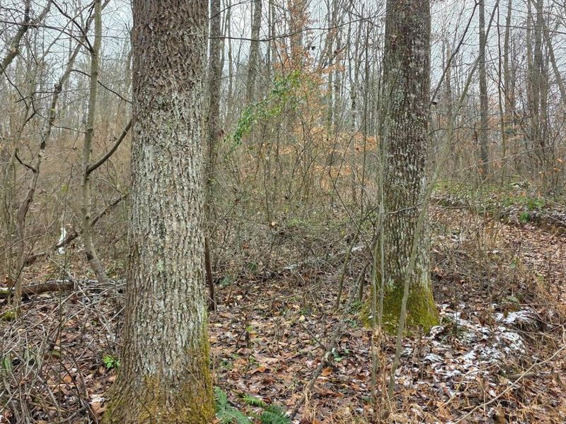 7857 Scenic Rd SE, Unit (Lot 11 at, Corning, OH 43730 Photo 31
