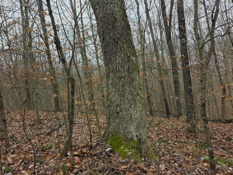 7857 Scenic Rd SE, Unit (Lot 11 at, Corning, OH 43730 Photo 32
