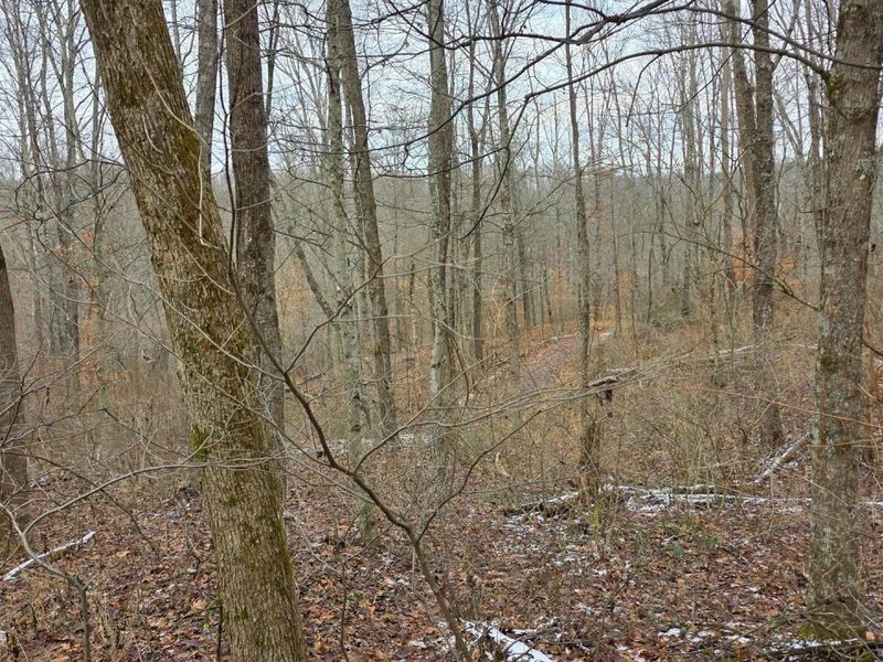 7857 Scenic Rd SE, Unit (Lot 11 at, Corning, OH 43730 Photo 35