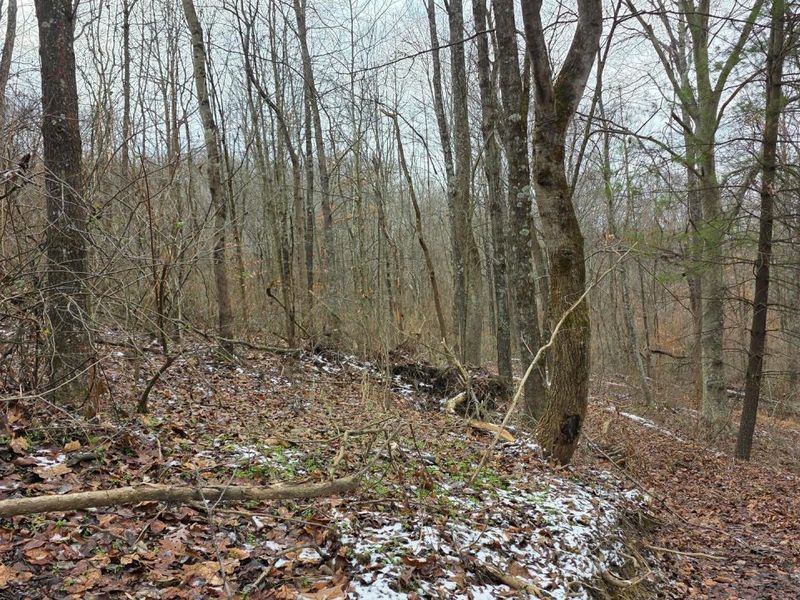 7857 Scenic Rd SE, Unit (Lot 11 at, Corning, OH 43730 Photo 36