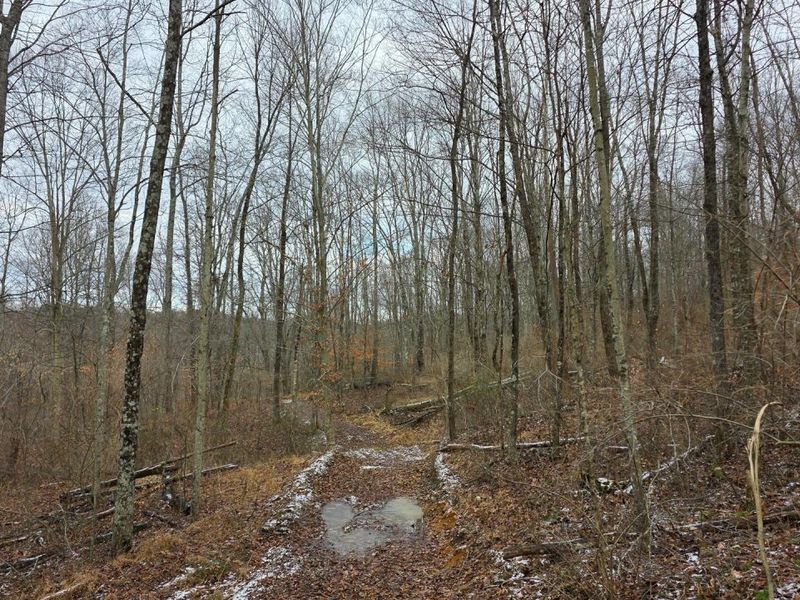 7857 Scenic Rd SE, Unit (Lot 11 at, Corning, OH 43730 Photo 37