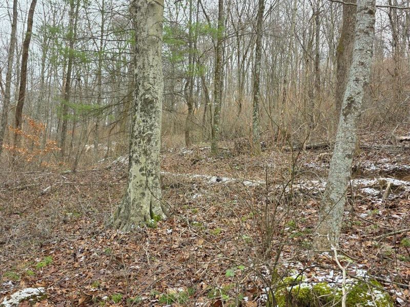 7857 Scenic Rd SE, Unit (Lot 11 at, Corning, OH 43730 Photo 38