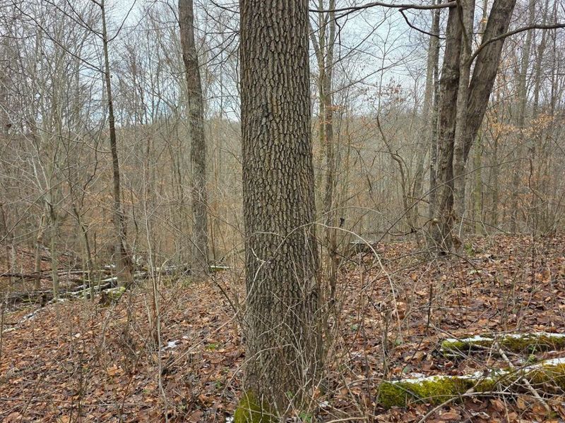7857 Scenic Rd SE, Unit (Lot 11 at, Corning, OH 43730 Photo 39