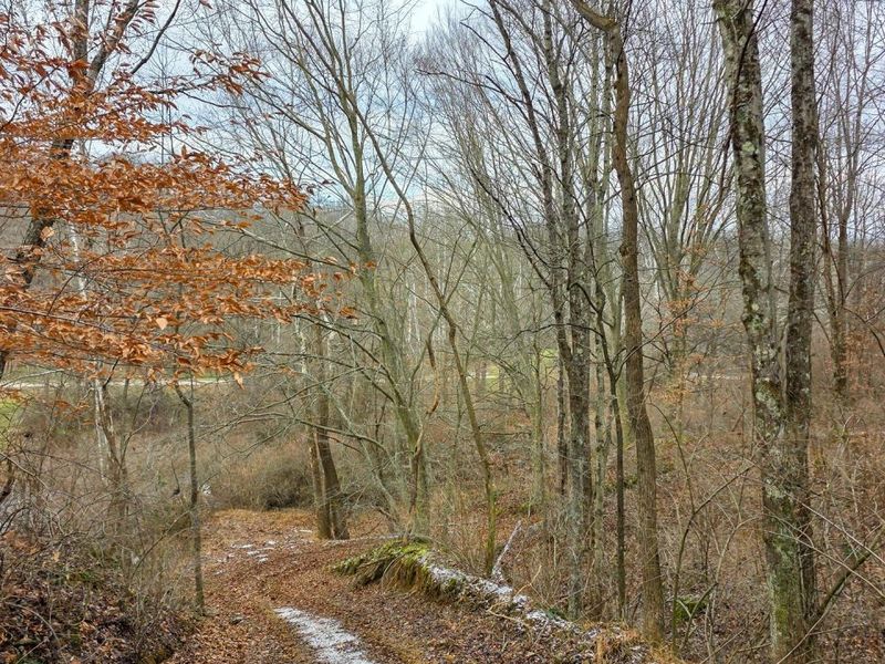 7857 Scenic Rd SE, Unit (Lot 11 at, Corning, OH 43730 Photo 41