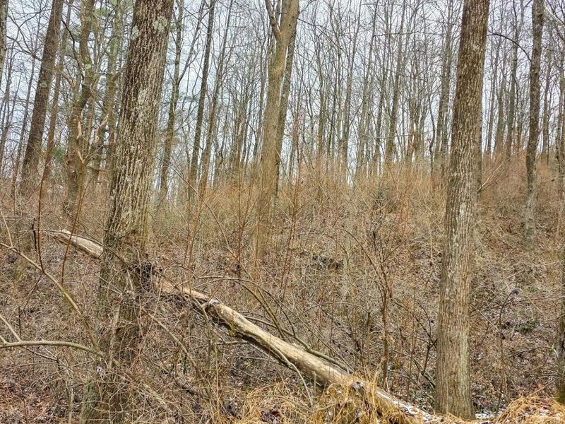 7857 Scenic Rd SE, Unit (Lot 11 at, Corning, OH 43730 Photo 42