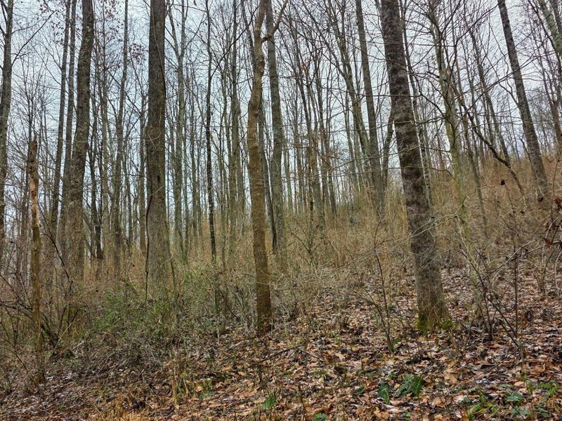 7857 Scenic Rd SE, Unit (Lot 11 at, Corning, OH 43730 Photo 43