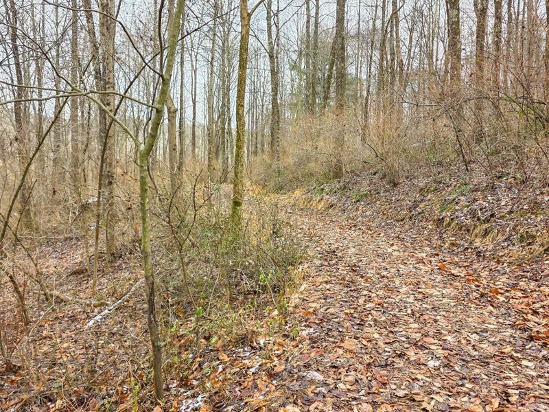 7857 Scenic Rd SE, Unit (Lot 11 at, Corning, OH 43730 Photo 44