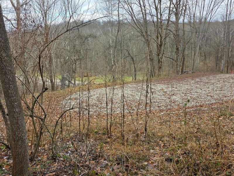 7857 Scenic Rd SE, Unit (Lot 11 at, Corning, OH 43730 Photo 46