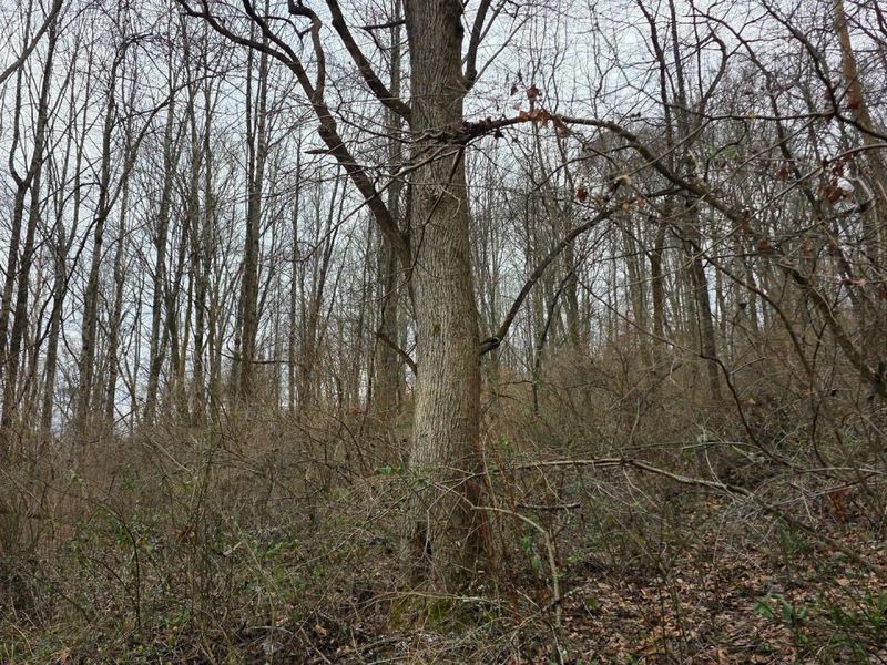 7857 Scenic Rd SE, Unit (Lot 11 at, Corning, OH 43730 Photo 47