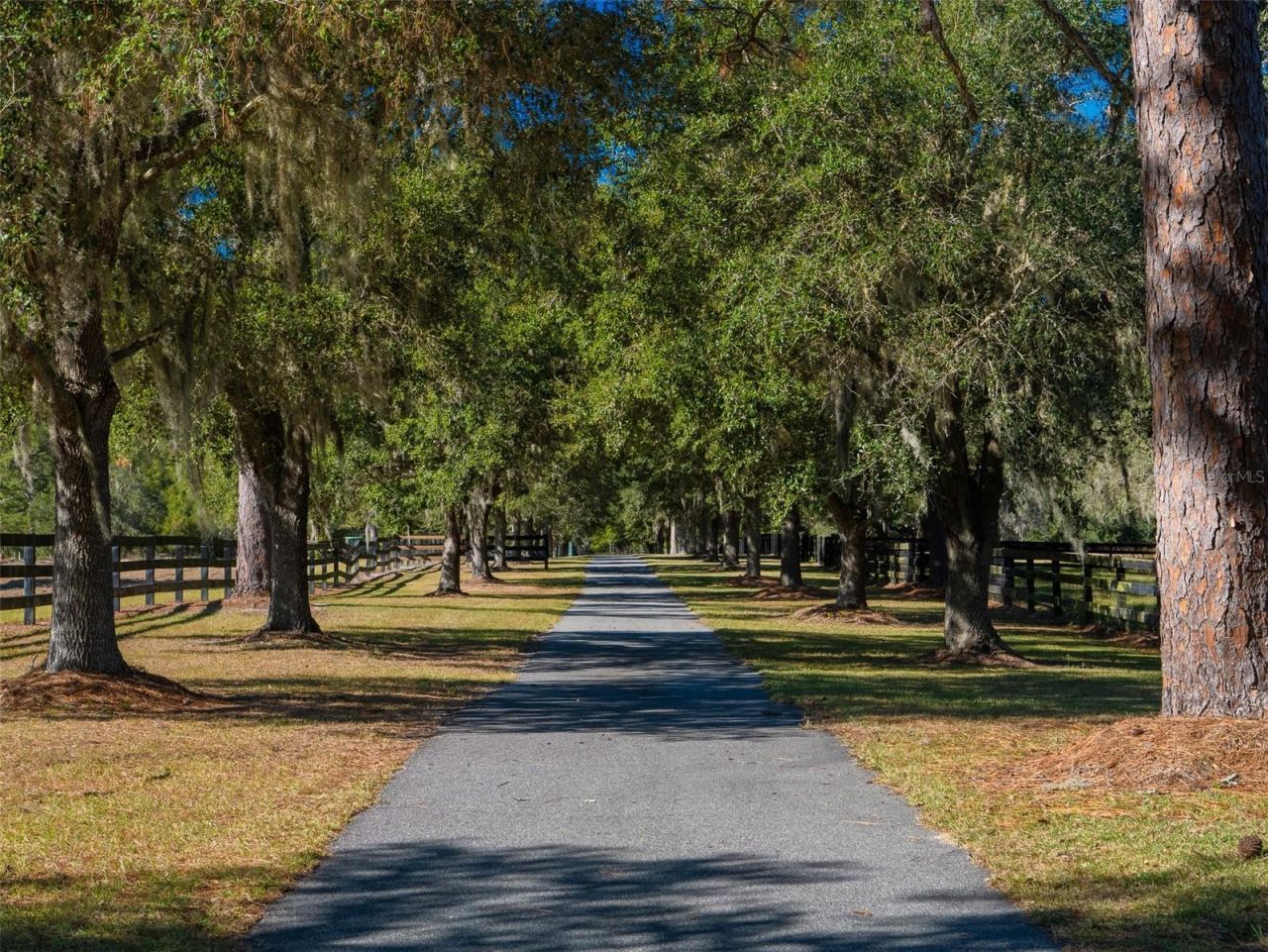 9710 NW 160th Avenue, Morriston, FL 32668 Photo