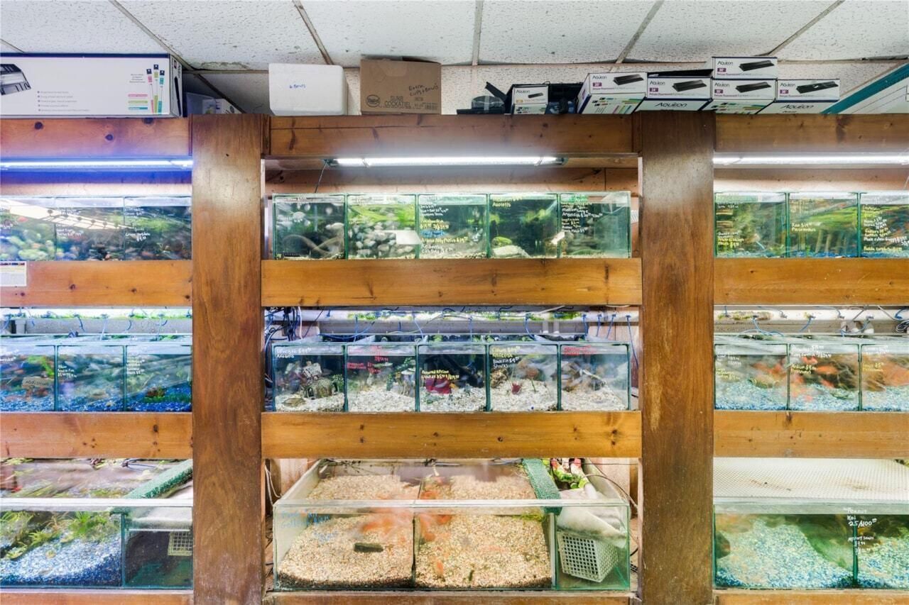 100636 Overseas Highway, Key Largo, FL 33037 Photo