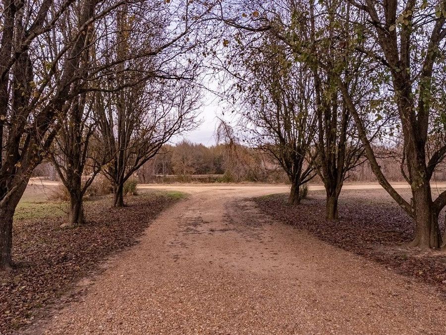 Property Image 71