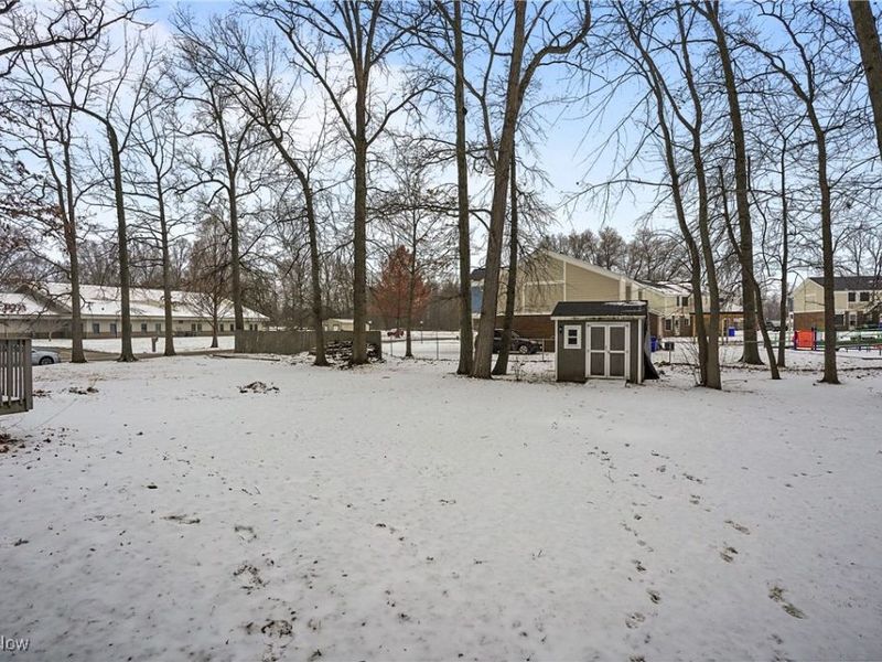 3925 Summit Road, Ravenna, OH 44266 Photo 34