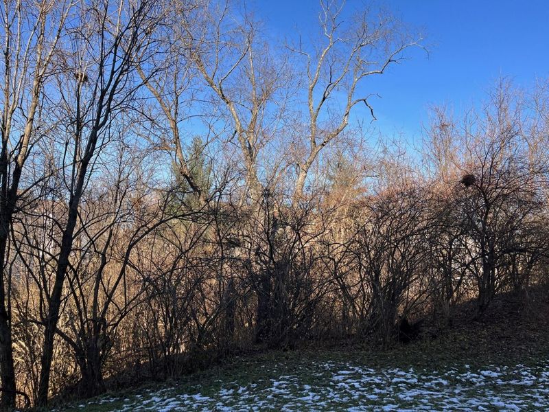 636 Morven Park Drive, Unit 6A, Walton, KY 41094 Photo 3