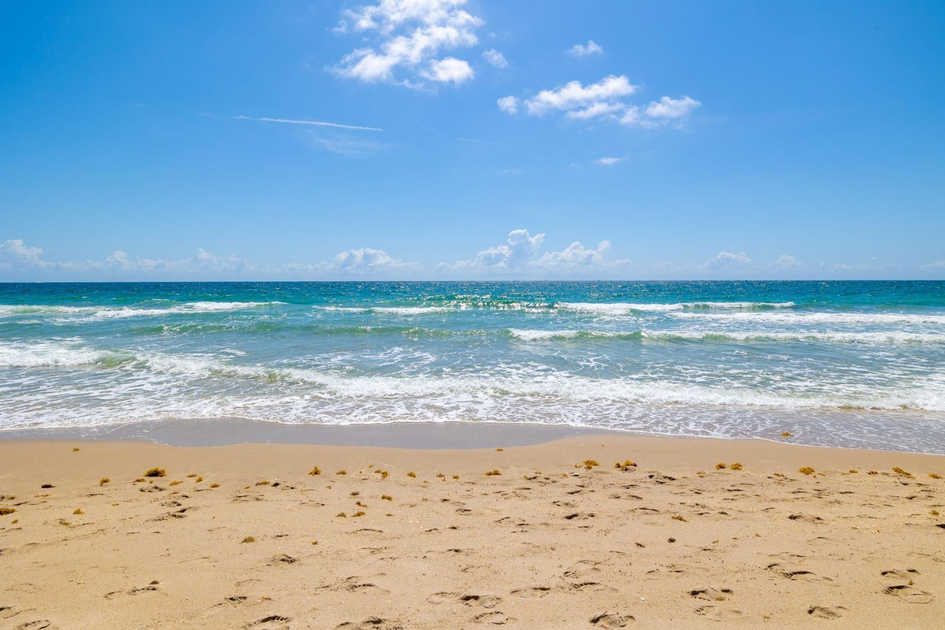 1620 S Ocean Boulevard, Unit 5m, Lauderdale by the Sea, FL 33062 Photo