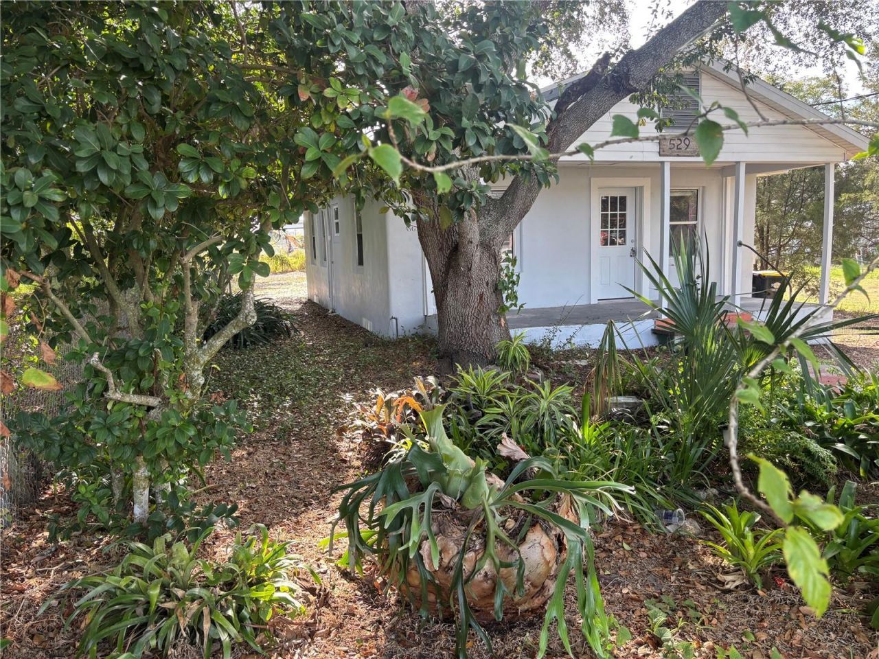 529 Mcdonald Avenue, Auburndale, FL 33823 Photo