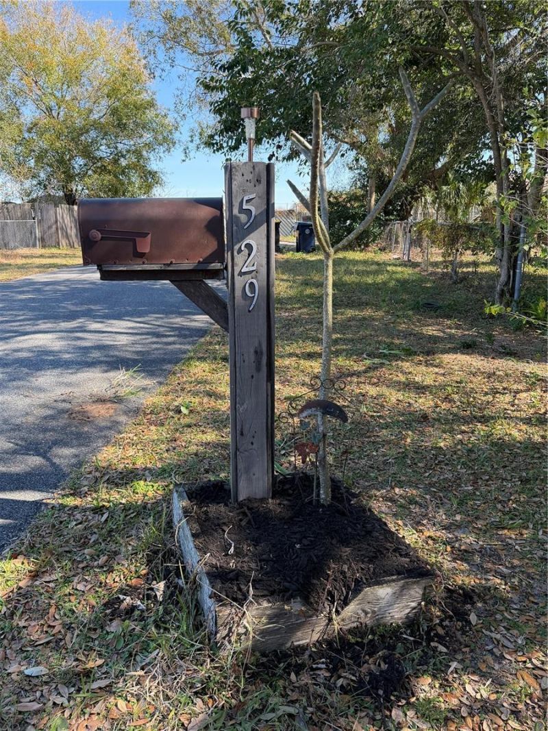 529 Mcdonald Avenue, Auburndale, FL 33823 Photo