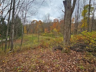 136 Dubois Lane, Oxford, NY 13830