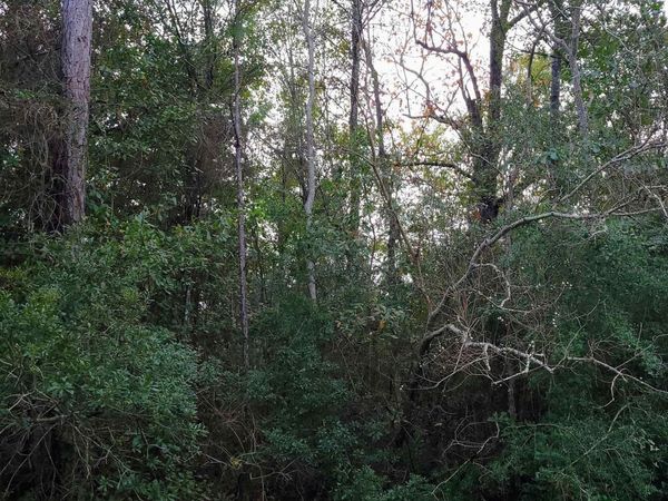 00 US Highway 98, Elberta, AL 36530