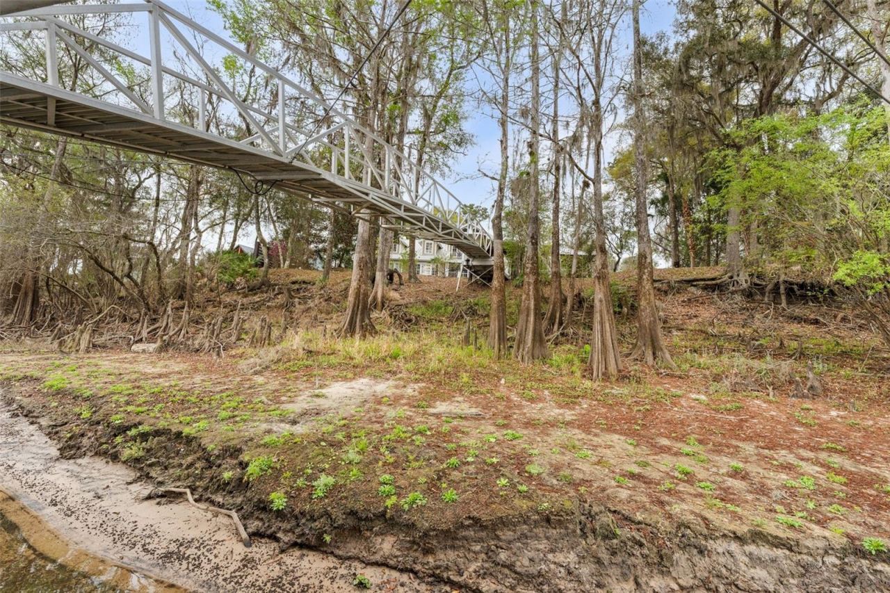 174 NE 972nd Street, Branford, FL 32008 Photo