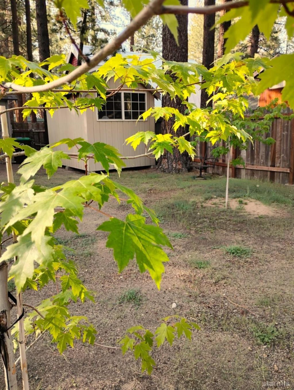 2520 Osborne Avenue, South Lake Tahoe, CA 96150 Photo