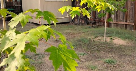 2520 Osborne Avenue, South Lake Tahoe, CA 96150 Photo