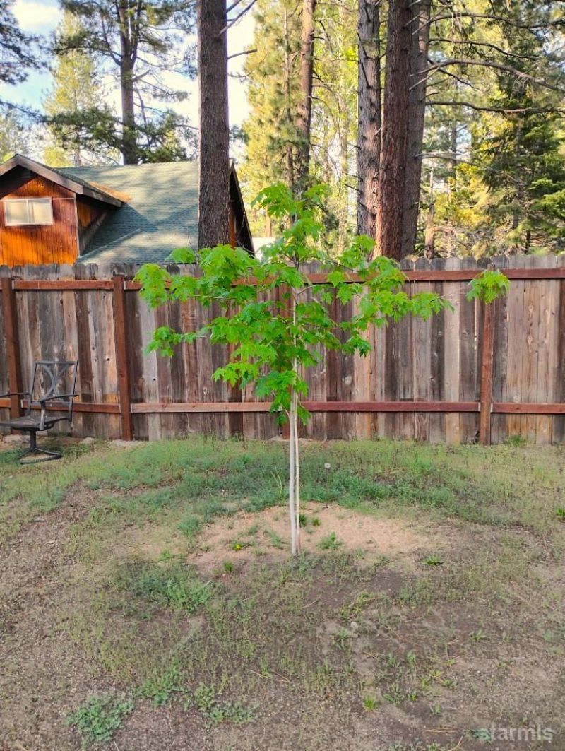 2520 Osborne Avenue, South Lake Tahoe, CA 96150 Photo