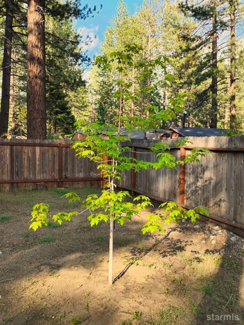 2520 Osborne Avenue, South Lake Tahoe, CA 96150 Photo