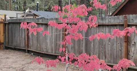 2520 Osborne Avenue, South Lake Tahoe, CA 96150 Photo