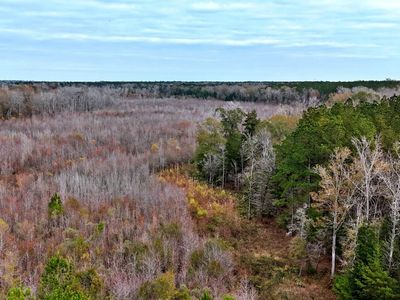 1215 Sandy Run Circle, Summerville, SC 29486