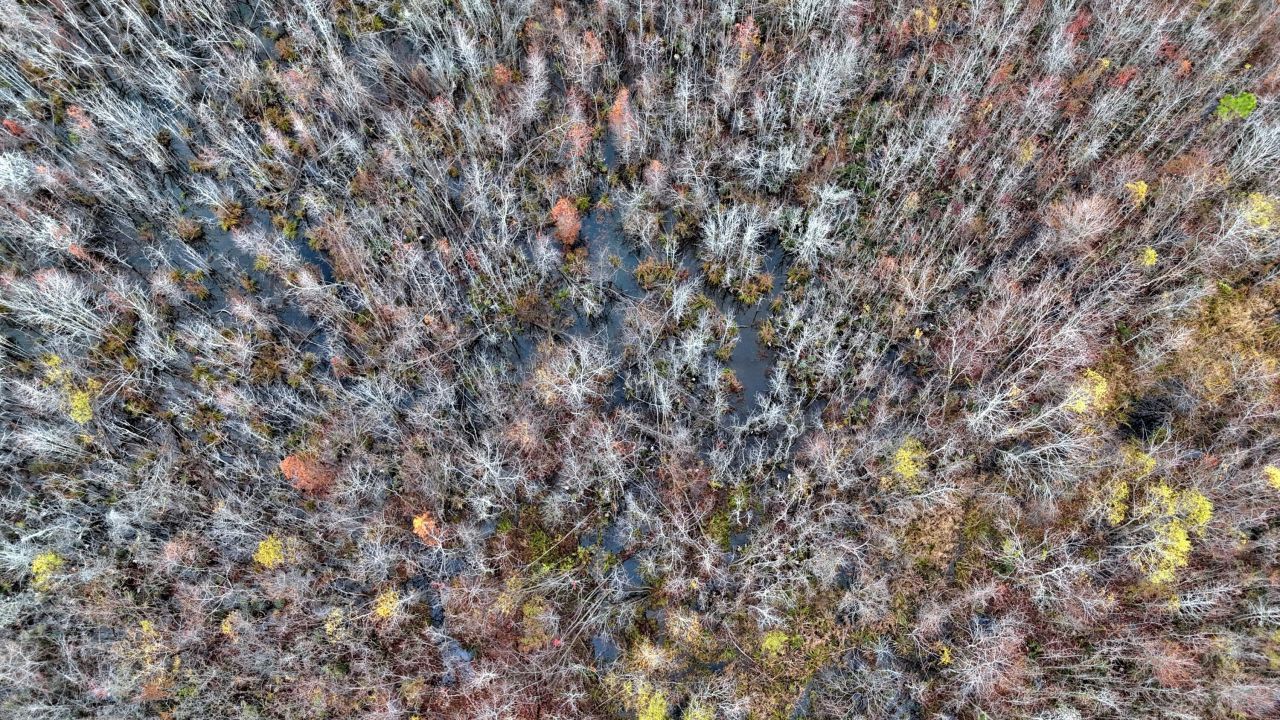 1215 Sandy Run Circle Photo 10