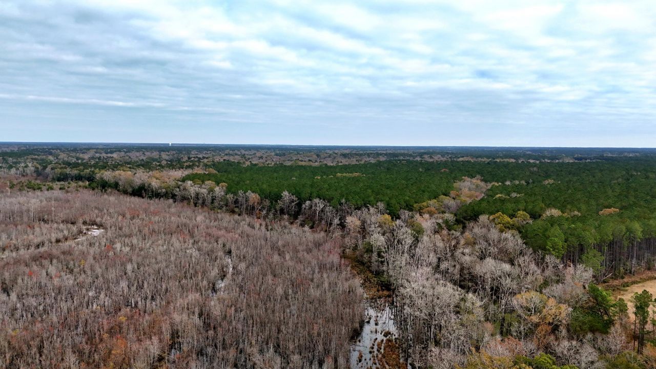 1215 Sandy Run Circle Photo 11