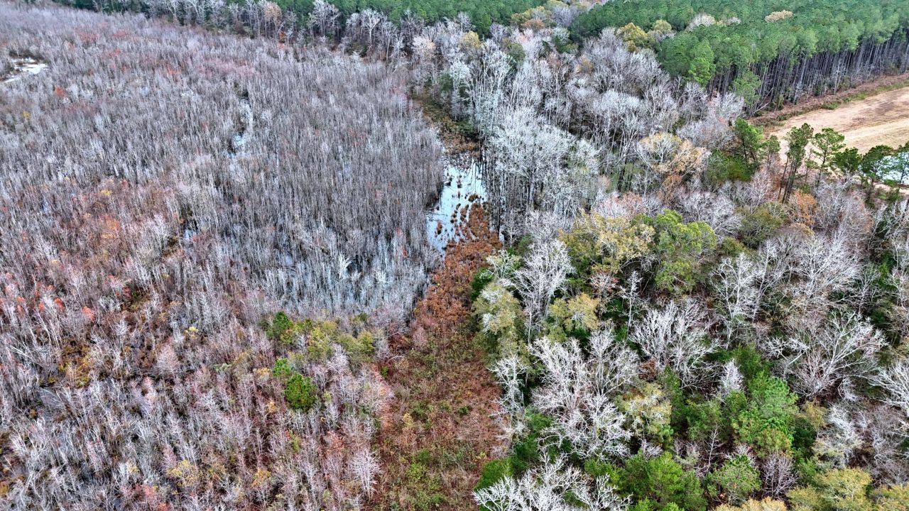 1215 Sandy Run Circle Photo 12