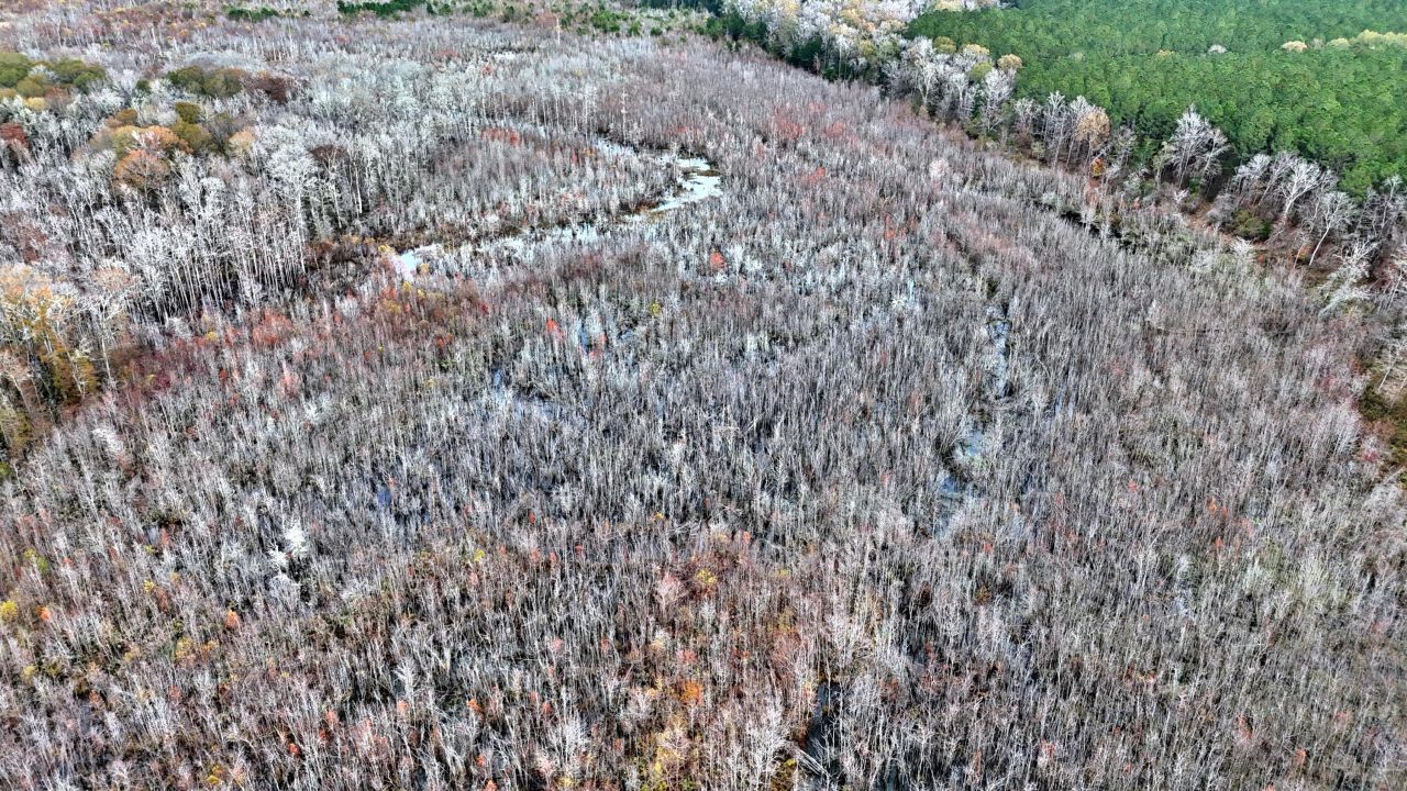 1215 Sandy Run Circle Photo 13