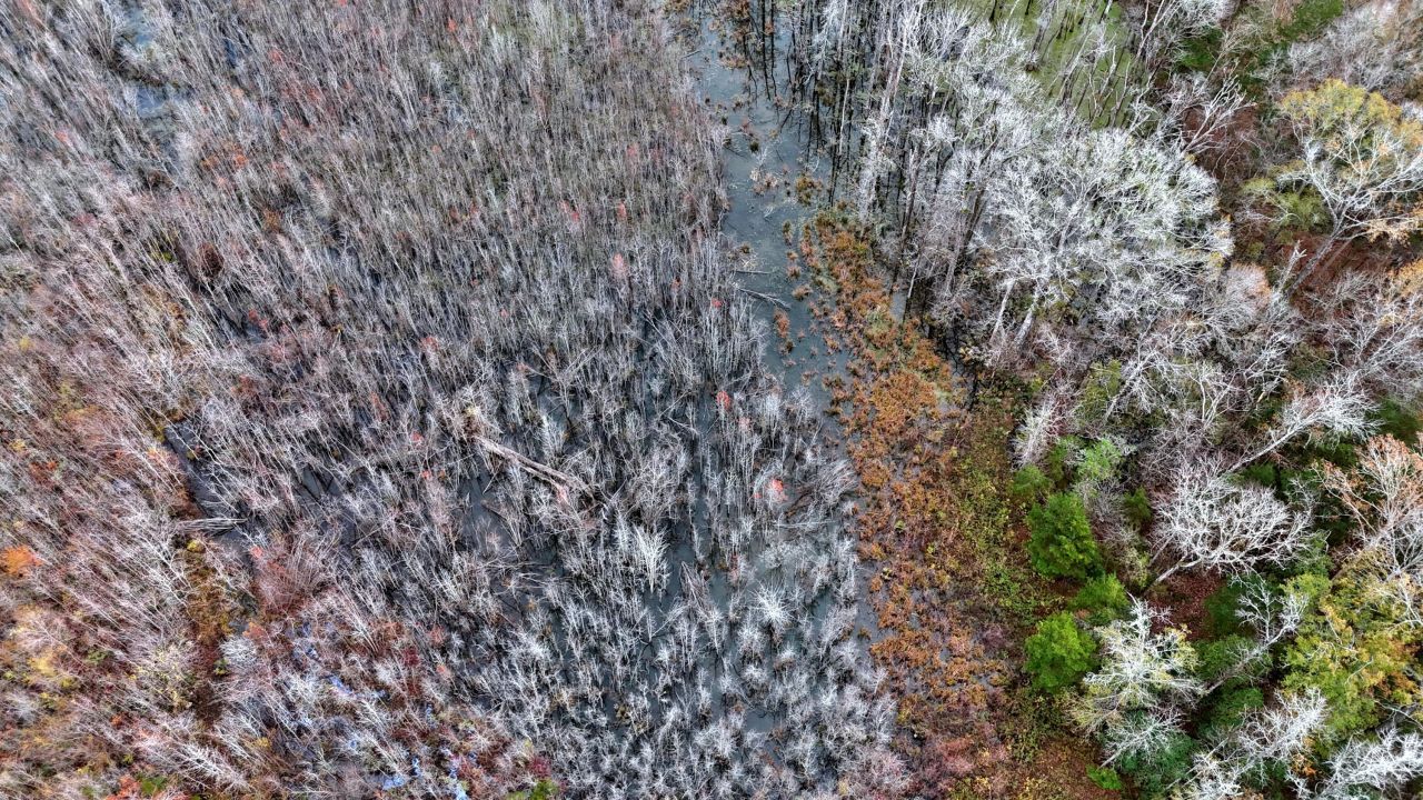 1215 Sandy Run Circle Photo 14