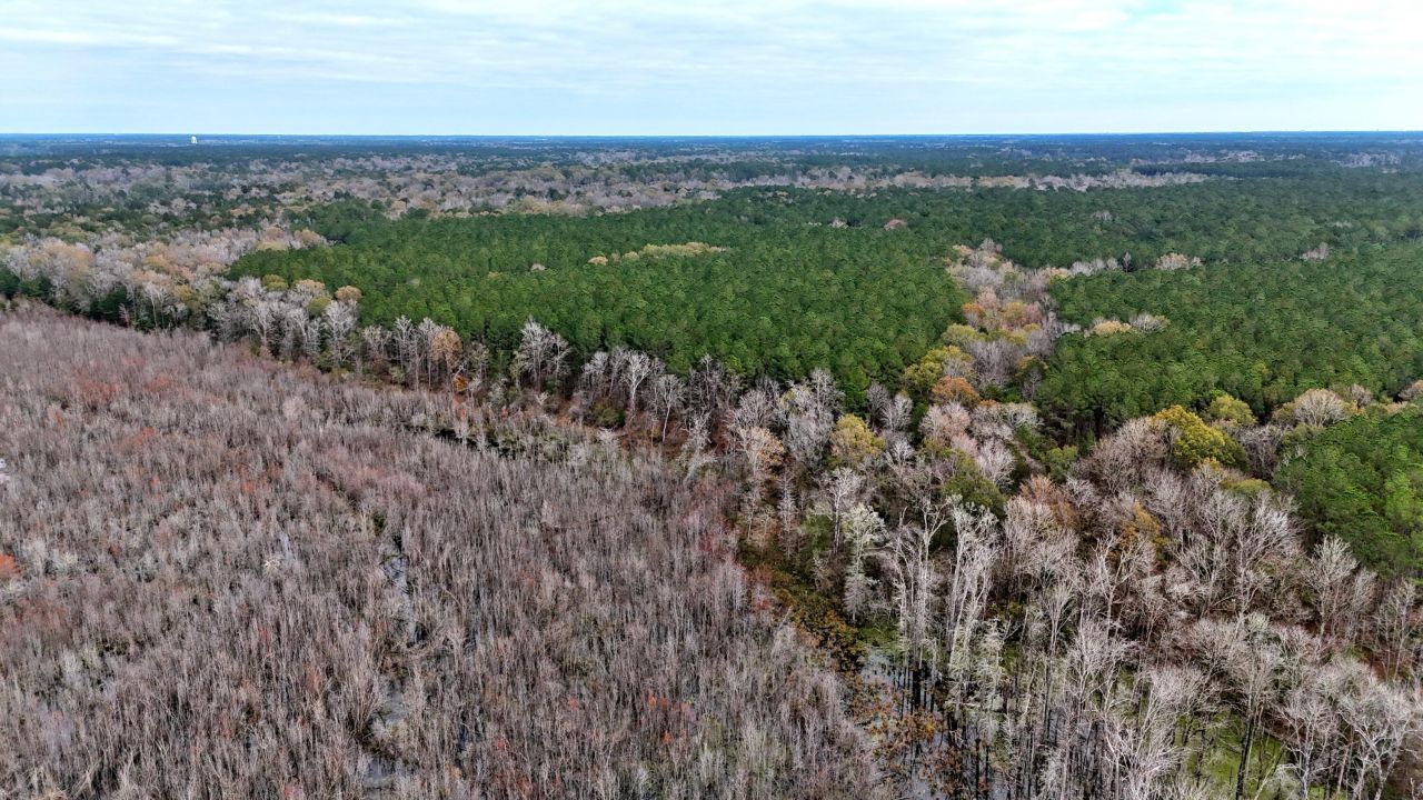 1215 Sandy Run Circle Photo 15