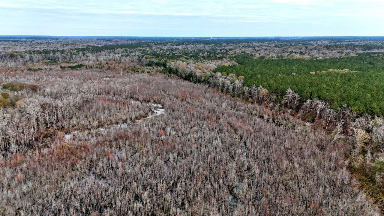 1215 Sandy Run Circle Photo 16