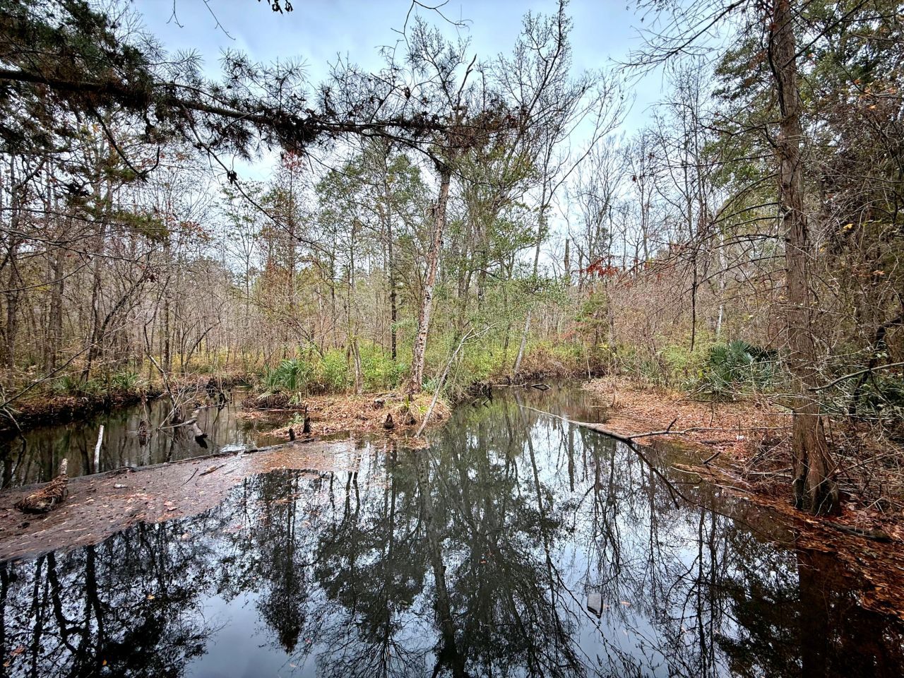 1215 Sandy Run Circle Photo 23