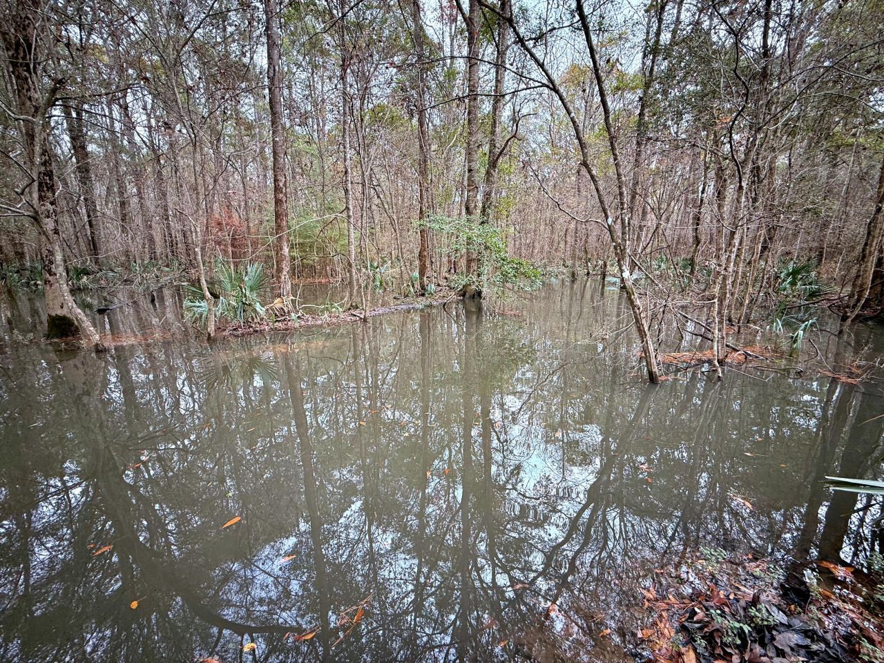 1215 Sandy Run Circle Photo 24