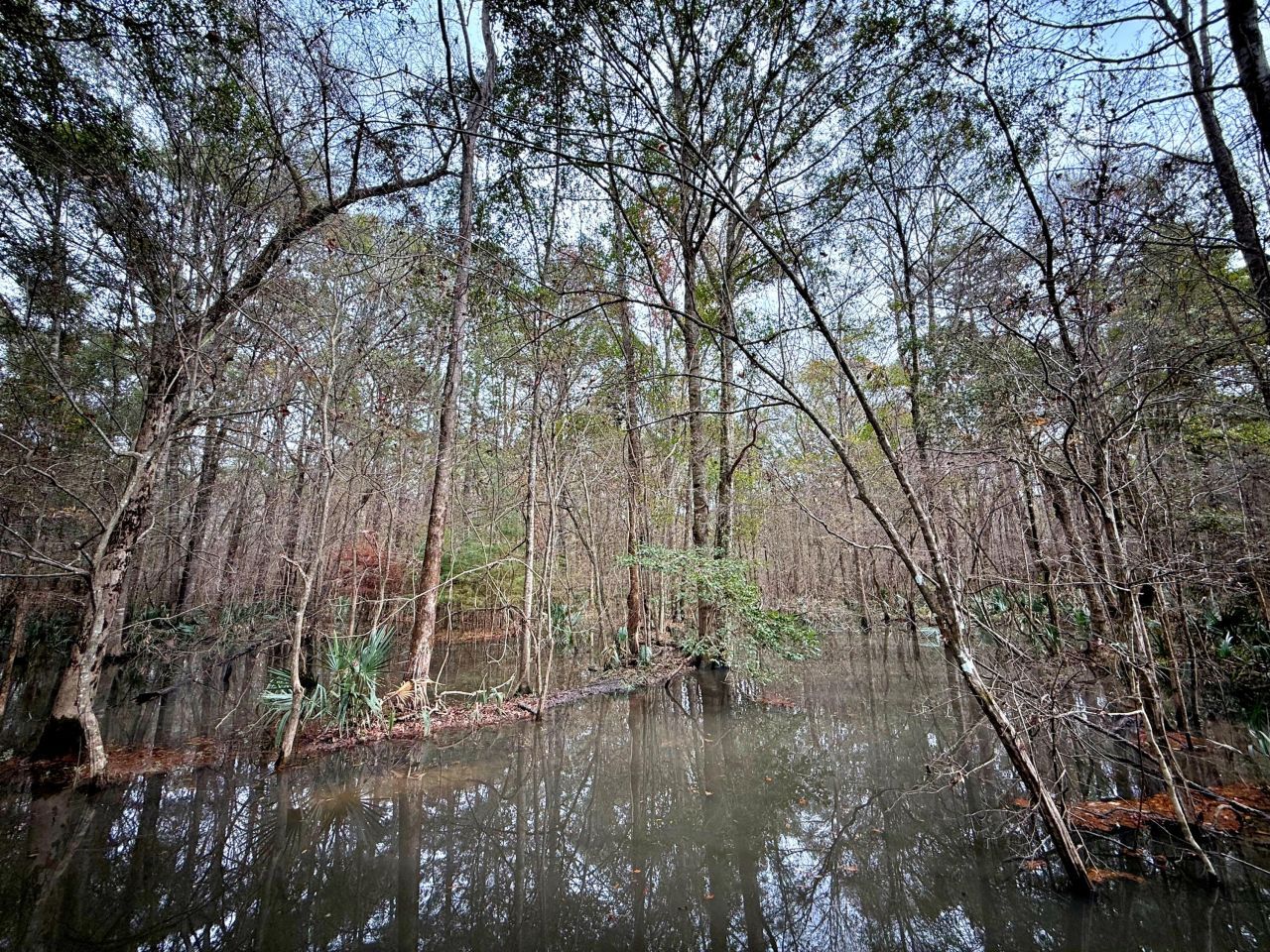 1215 Sandy Run Circle Photo 25