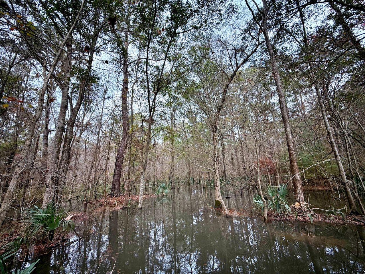 1215 Sandy Run Circle Photo 26