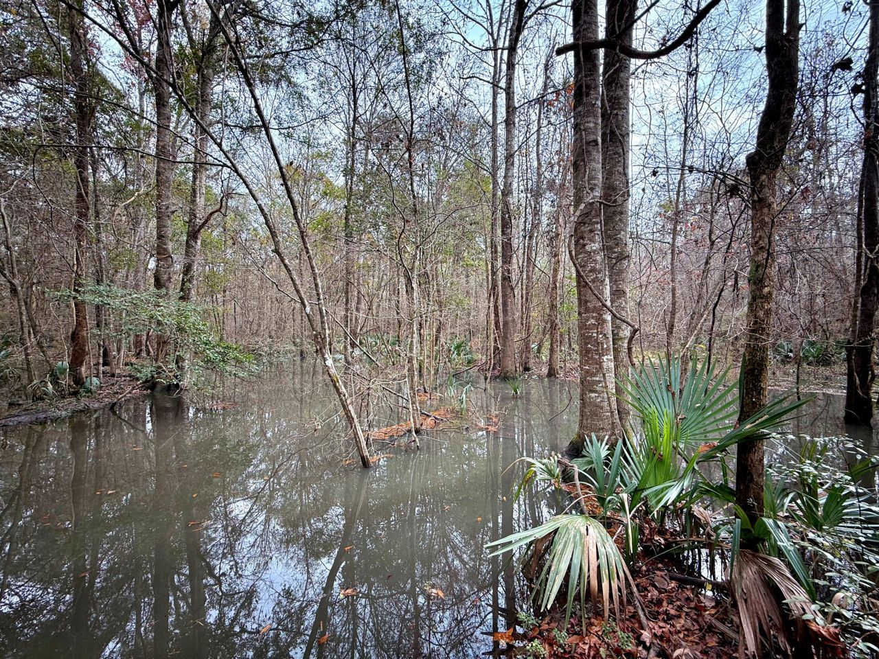 1215 Sandy Run Circle Photo 27