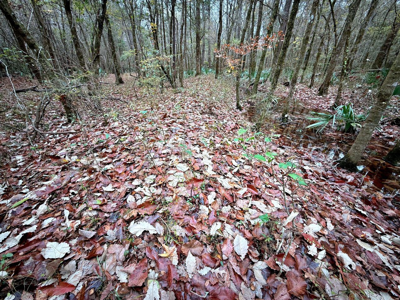 1215 Sandy Run Circle Photo 30
