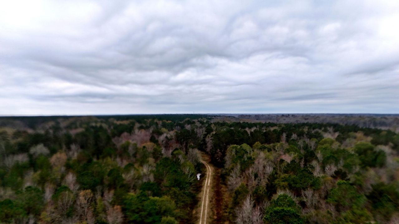 1215 Sandy Run Circle Photo 6